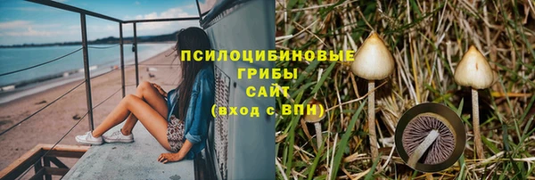 прущие крисы Пестово