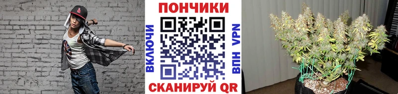 Бошки марихуана VHQ  мега tor  Шатура 